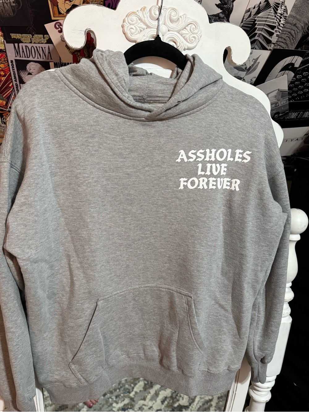 Gray Graphic Hoodie - Assholes Live Forever